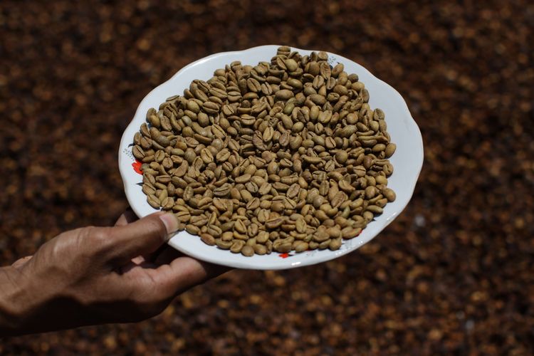 Biji kopi liberika